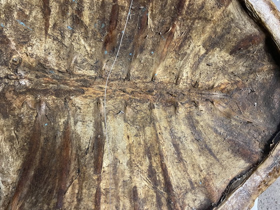 Image 1 of Decoración de pared de tortuga