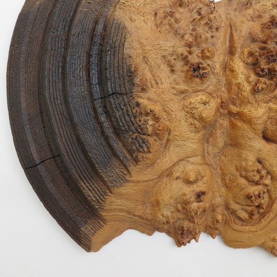Image 1 of Wandsculptuur van wortelnotenhout handgemaakt door Mike Scott Chai