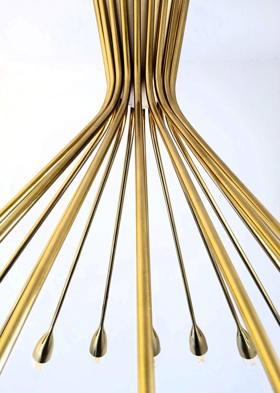 Image 1 of Oscar Torlasco para Stilnovo