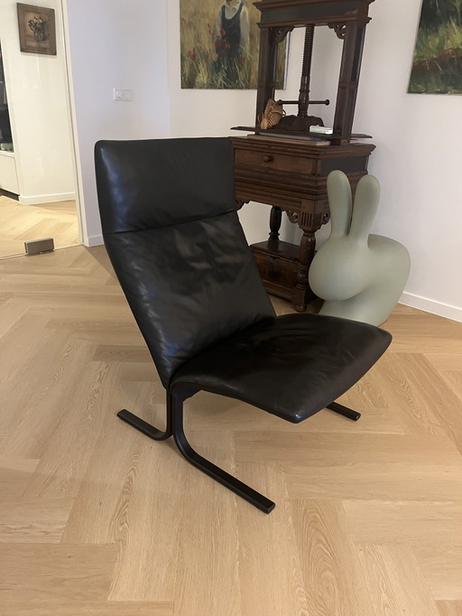 Fauteuil De Sede