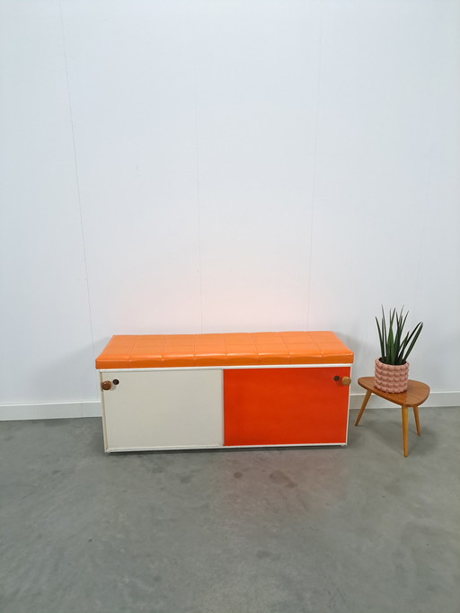 Shoe Cabinet With Bench and Colored Sliding Doors