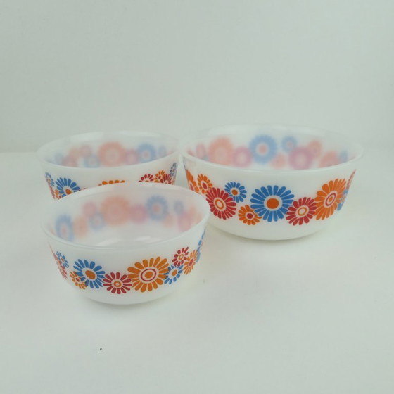 Image 1 of 3 Plats de service Schott & Gen Mainz avec fleurs