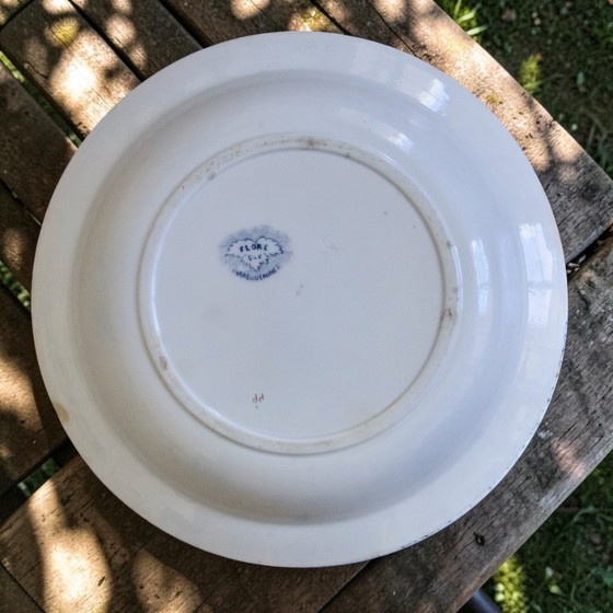 Image 1 of 19th century ironstone shallow dish signed Sarreguemines, Flore collection