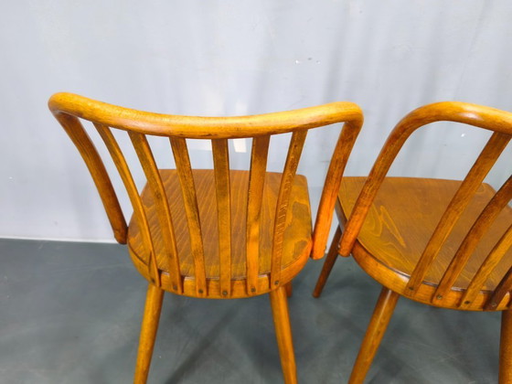 Image 1 of Antonin Suman per TON Dining Chairs, anni '60, set di quattro