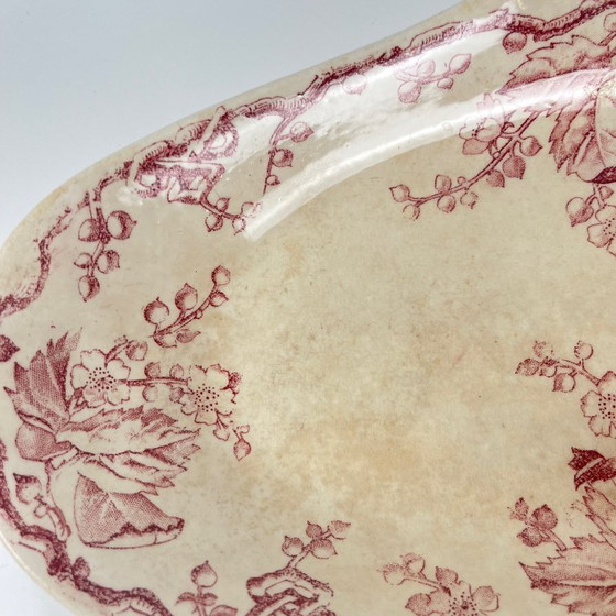 Image 1 of Coppia di piatti da portata ovali con manici laterali, KG Lunéville, Ironstone, "Fontainebleau", rosa, XIX secolo