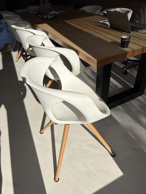 8 Tonon designer dining chairs made in Italy