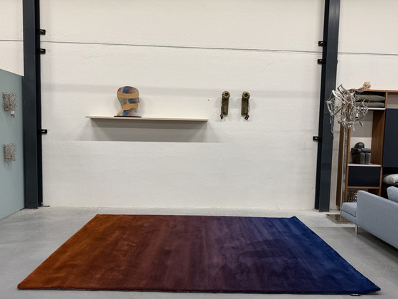 Image 1 of Tappeto Segni Tappeti Cameleon 210x320