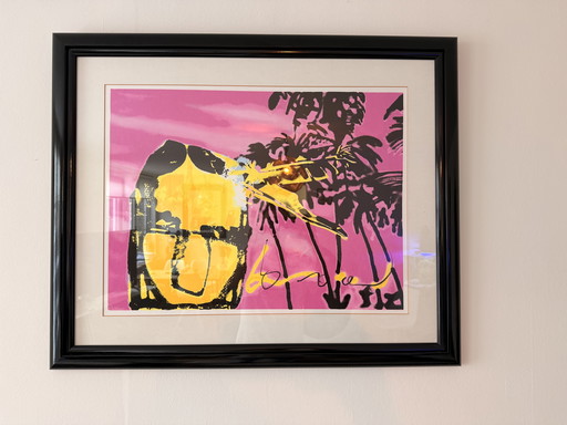 Herman Brood „Pink Indian“