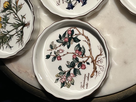Image 1 of Juego (6) cuencos Villeroy & Boch Vilbofour Botanica