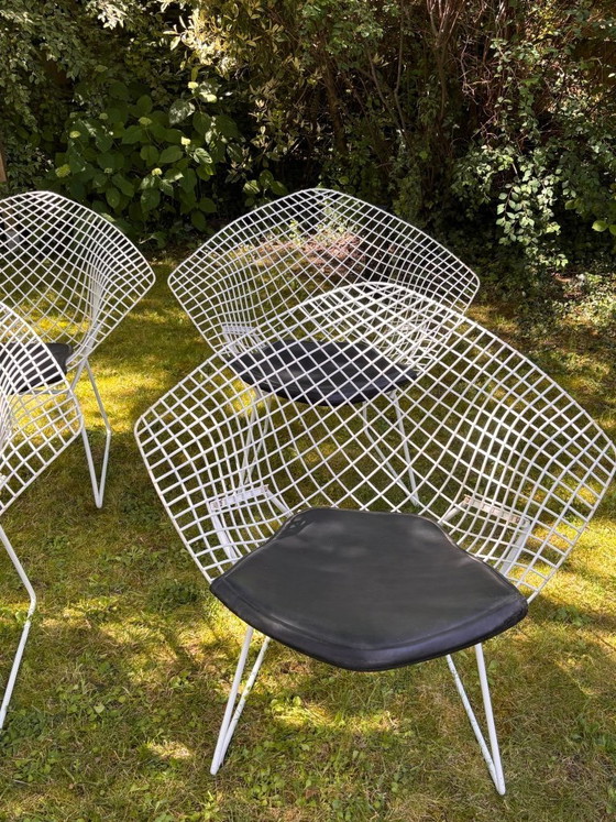 Image 1 of Bertoia Diamond fauteuil, Knoll-editie, ontwerp van Harry Bertoia, vintage jaren 70-80