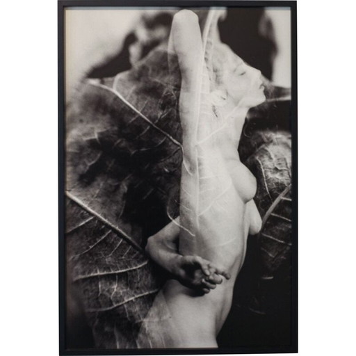 Vintage-Gemälde Natural Movements 08 von Meïdhy Bichon, 2019