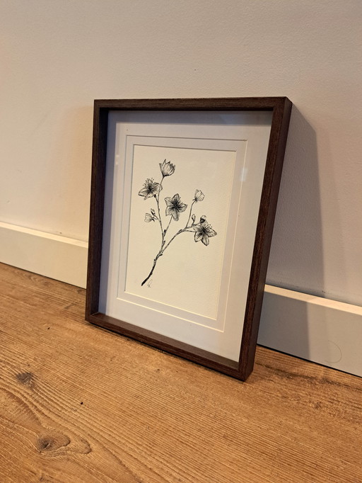 Illustration Cherry Blossom Sakura | In Dark Brown Frame