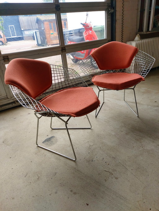 Bertoia diamond stoelen Knoll