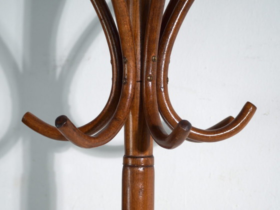 Bentwood Coat Stand in Beechwood – Austria-Hungary, Thonet Style, Circa 1900 – Coat racks, Metal (photo 23 of 36)
