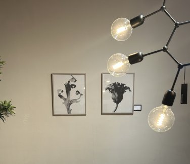 Boconcept - Delphinium Galerij