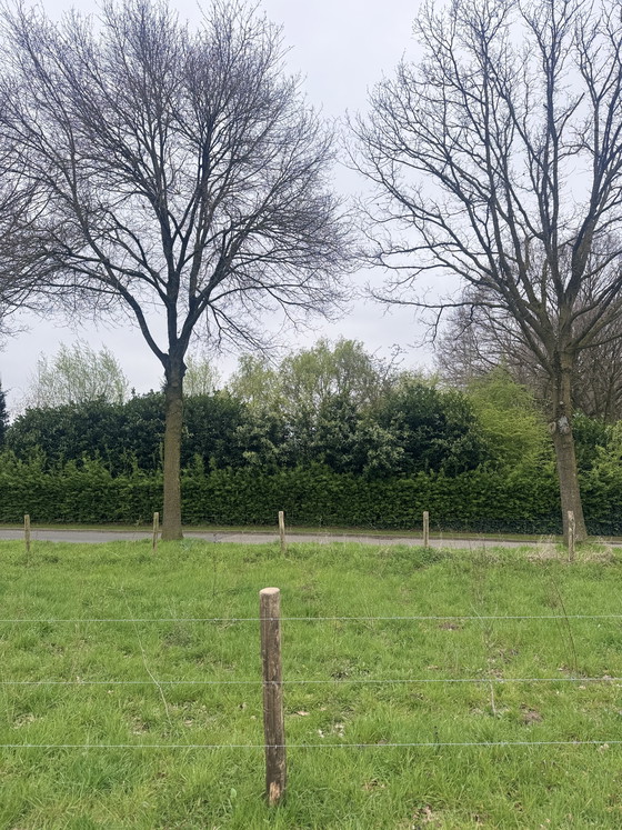 Image 1 of Martin Visser sofa bed BR 53 7 – ‘t Spectrum, 1966