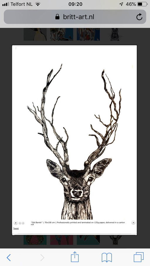 Affiche de dessin dans un cadre français