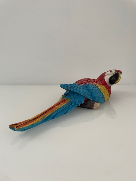 Image 1 of Wall sculpture red macaw parrot colorful design