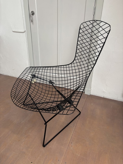 Bertoia Bird Stoel – Knoll, stoelen fauteuils, Metal (photo 2 of 5)