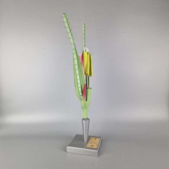 Image 1 of Modello botanico d'epoca di segale (Secale cereale) – Brendel / PHYWE – Modello scientifico didattico – ca. anni '60