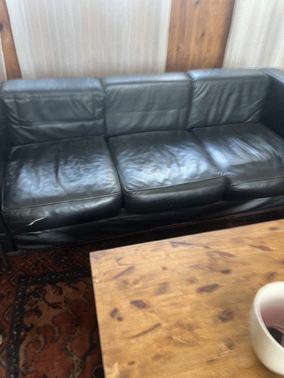 Image 1 of Divano in pelle a 3 posti LC2