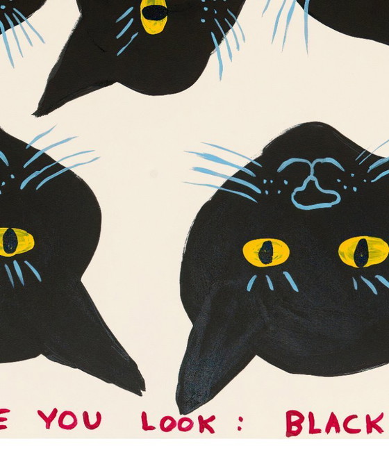 Image 1 of Gatos negros por todas partes - David Shrigley - Póster 50 × 70 cm