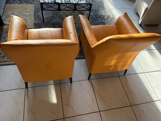 Leolux Mayuro 2x – Armchairs, Leather, Metal (photo 2 of 6)