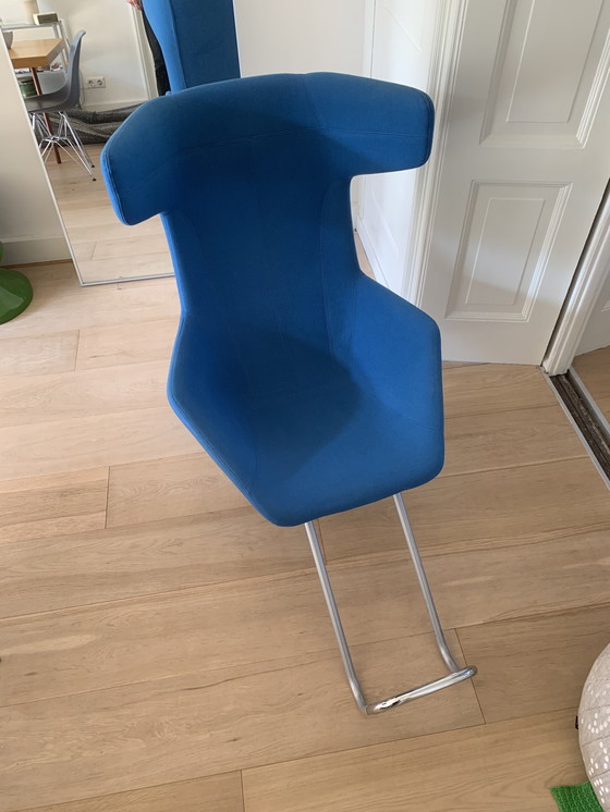 Image 1 of Moroso neemt een lijn mee voor een wandeling