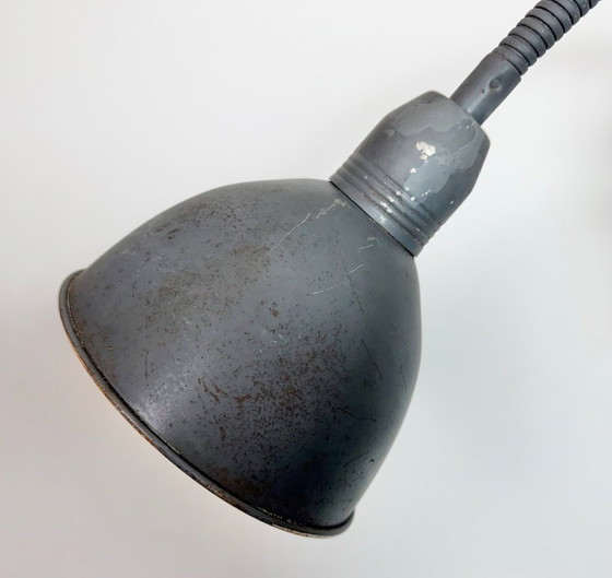 Image 1 of Grijze industriële wandlamp met flexibele arm van Elektroinstala, jaren 60.