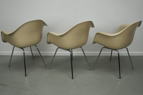 Image 1 of Ensemble de trois fauteuils DAX en fibre de verre parchemin Eames pour Herman Miller / Vitra