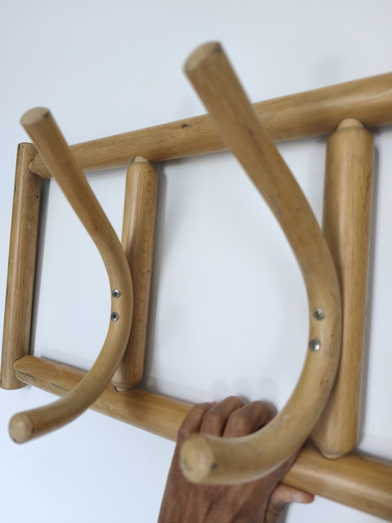 Image 1 of Wandgarderobe Ton, Bugholz