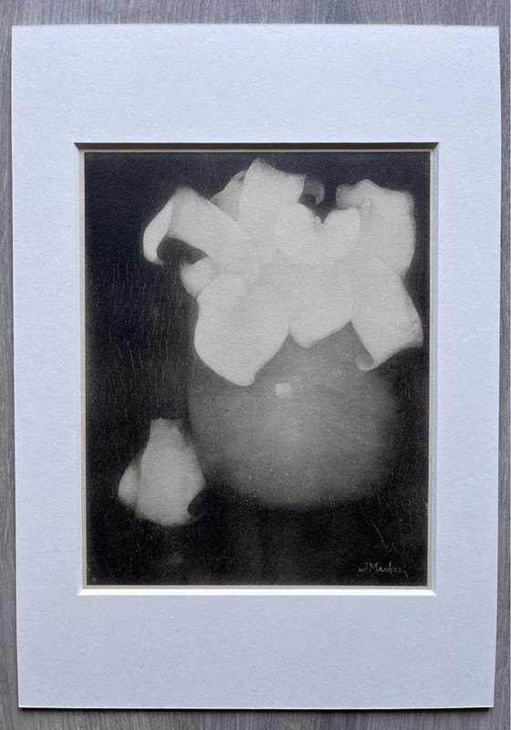 Image 1 of Jan Mankes 1889-1920 / Héliogravure originale Lys Calla 1923