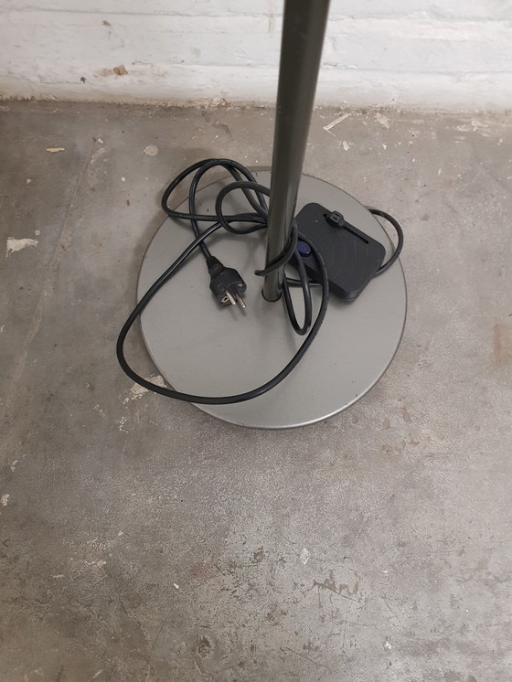 Image 1 of Aureola Grijs