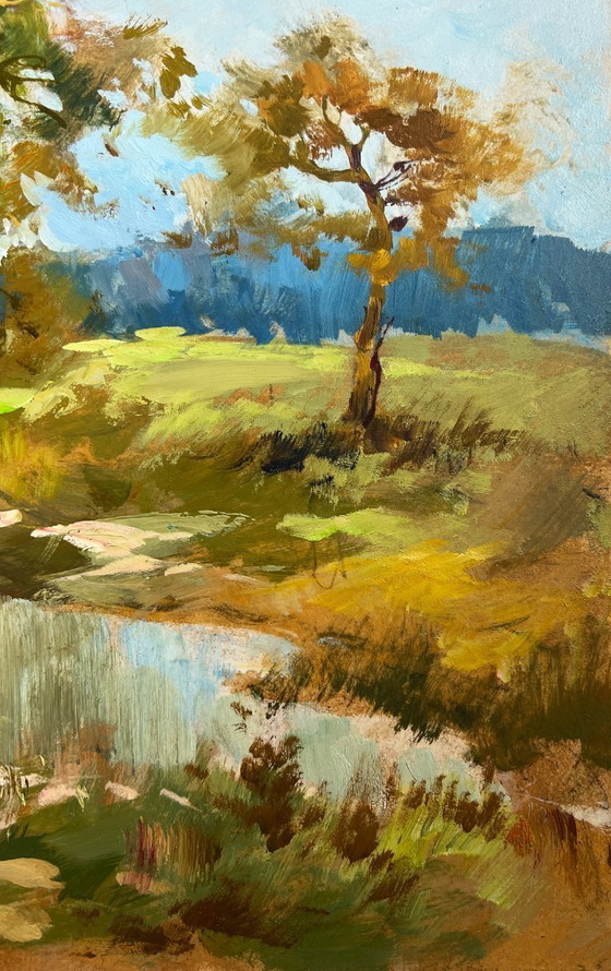 Image 1 of Original Oil Painting Day Forest Landscape Whisper of forest and water