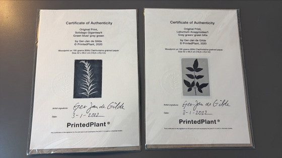 Image 1 of Botanical prints Ger Jan de Gilde
