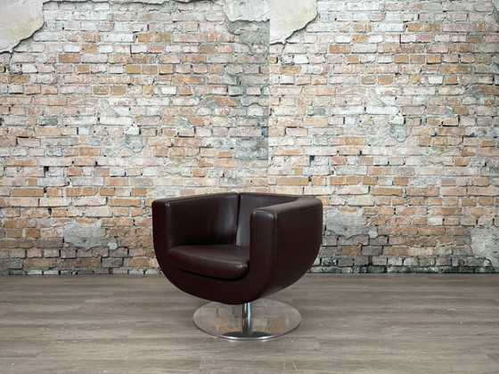 Image 1 of B&B Italia Tulip Armchair bruin