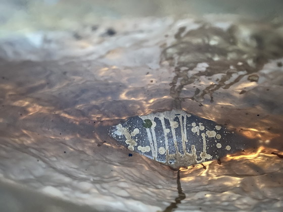 Light & Living Turtle Vase - Antique Bronze (Size L) – Metal, Plastic (photo 7 of 10)