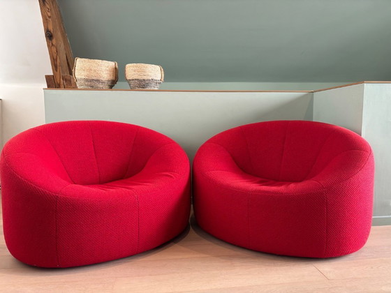 Image 1 of 2x Ligne Roset Calabaza Raíz
