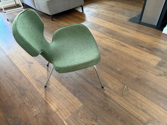 Image 1 of Libellula Artifort rifoderata (professionalmente)