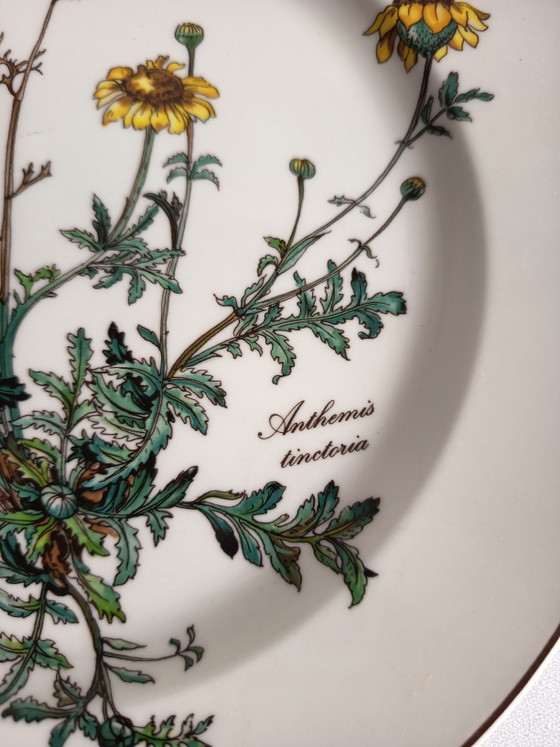Villeroy und Boch Botanica Teller – Geschirr, Porcelain (photo 5 of 6)