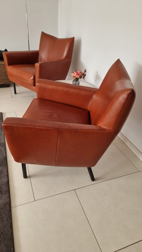 Image 1 of 2x Fauteuil Design auf Lager - Modell Toma - Cognac