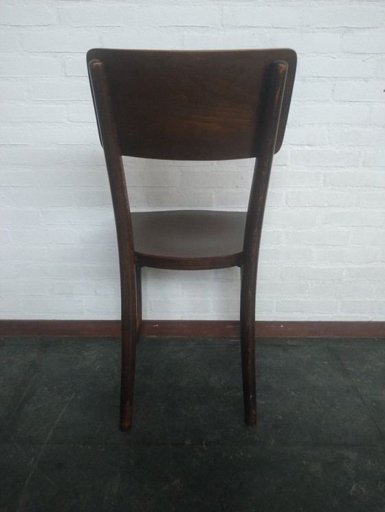 Image 1 of Silla Thonet Mundus con estampado de cocodrilo