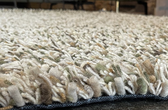 Image 1 of Brink en Campman Spring carpet Moss