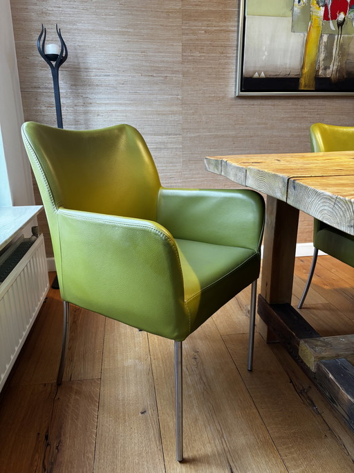 6 sillas de comedor Bert Plantagie