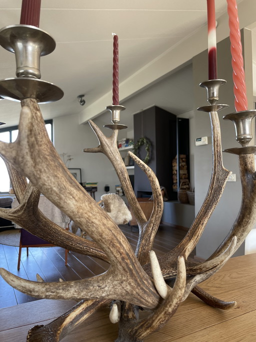 Beautiful Candlestick of Deer Antlers