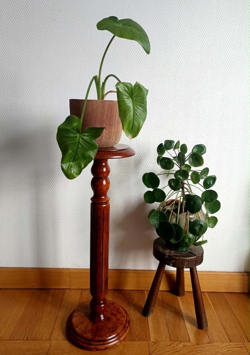 Gevormde gebeitste houten kolom sokkel