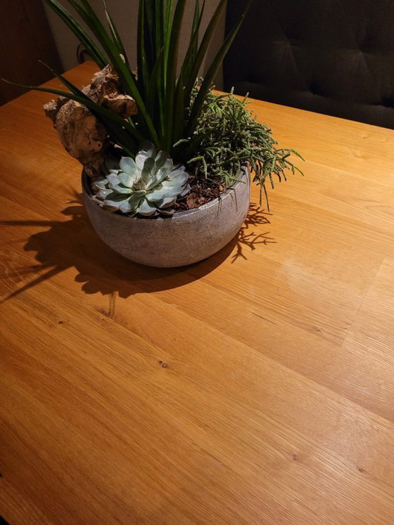 Image 1 of Esstisch aus Holz mit Essbank und 4 Stühlen