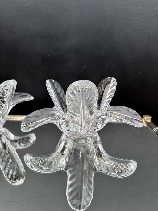 Vassoio portaoggetti in cristallo a forma di palma degli anni '70