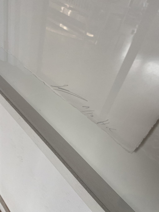 Tuymans Diagnostische Blick