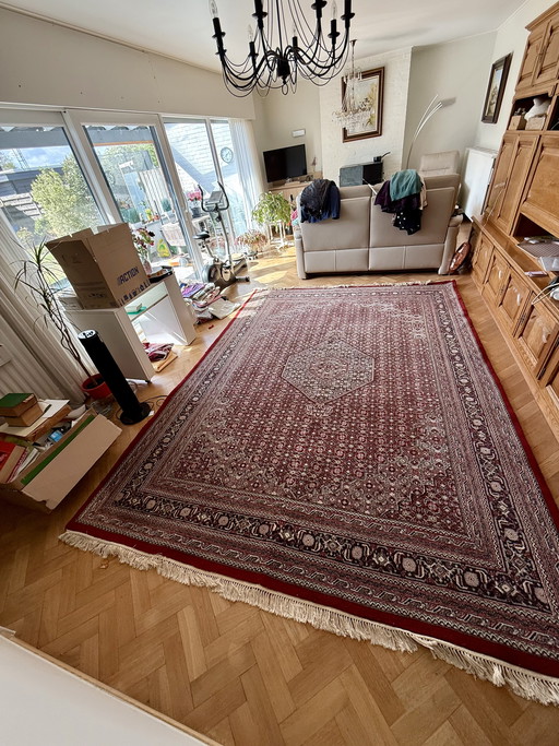 Bidjar hand-knotted rug 251 x 342